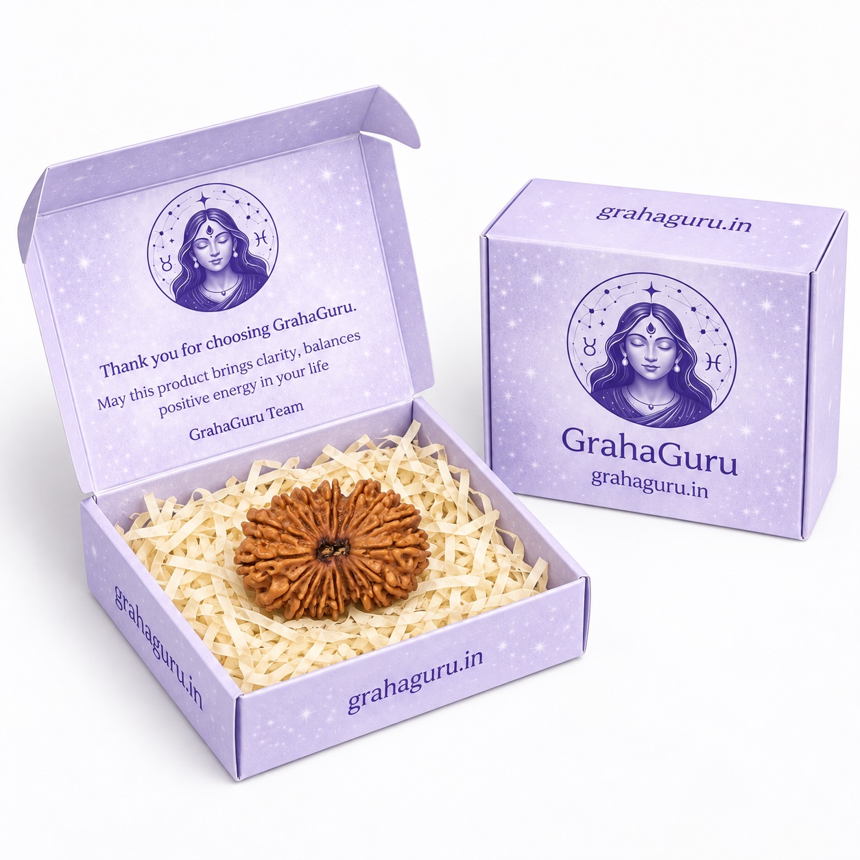 17 Mukhi Rudraksha